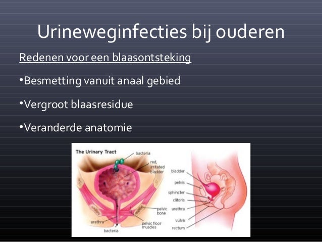 blaasontsteking ouderen verward blaasontsteking ouderen verward